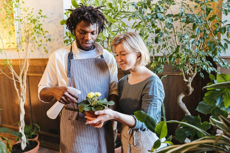 Essential Tips for Keeping Houseplants Healthy and Thriving
